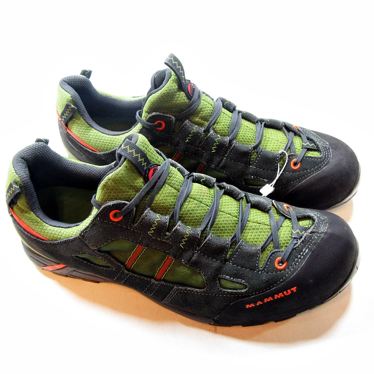 MAMMUT - Cougapproach