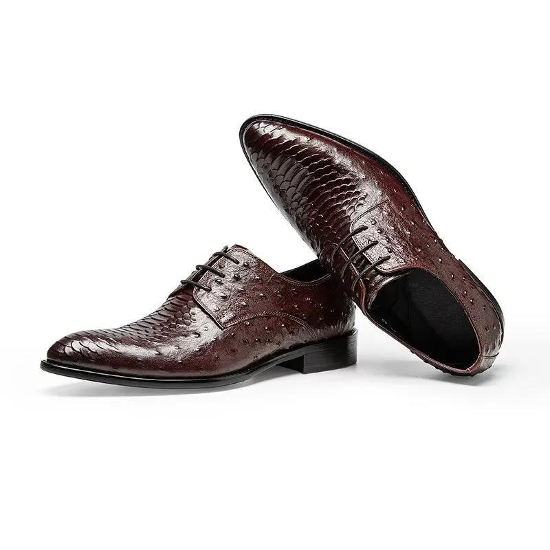 Serpatura Elegance Lace Brogues