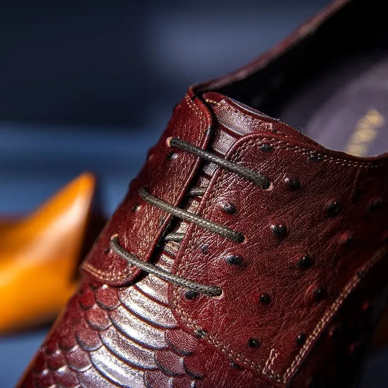 Serpatura Elegance Lace Brogues