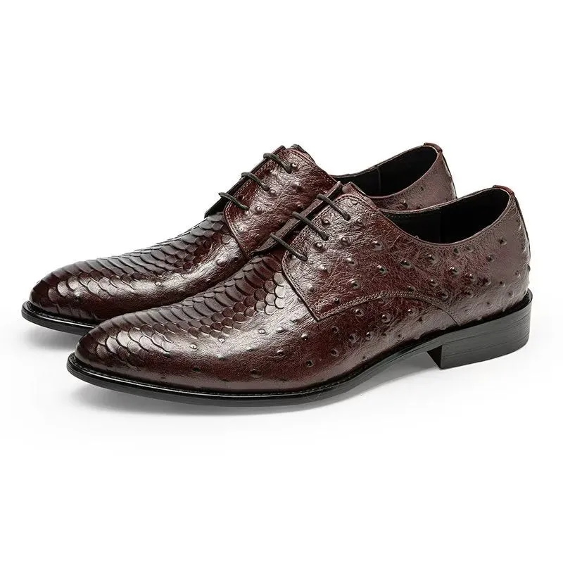 Serpatura Elegance Lace Brogues