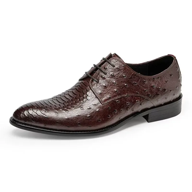 Serpatura Elegance Lace Brogues