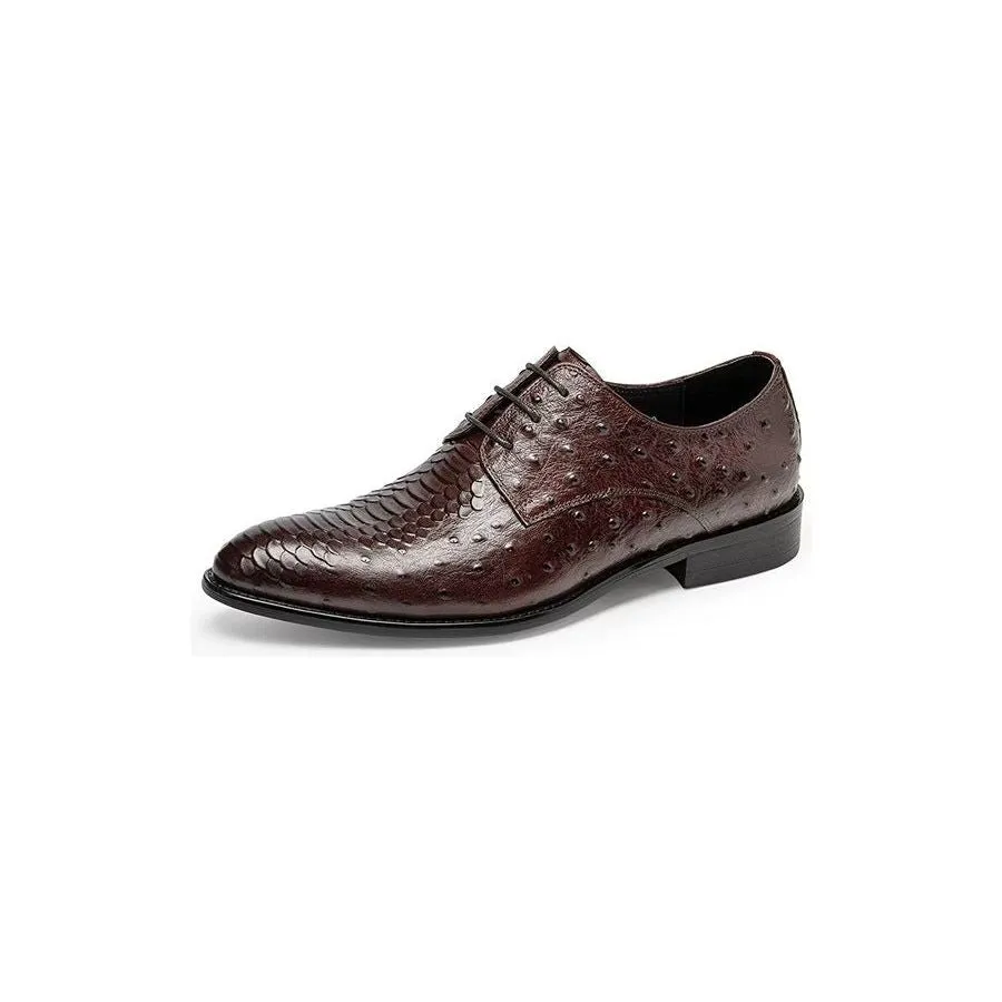 Serpatura Elegance Lace Brogues