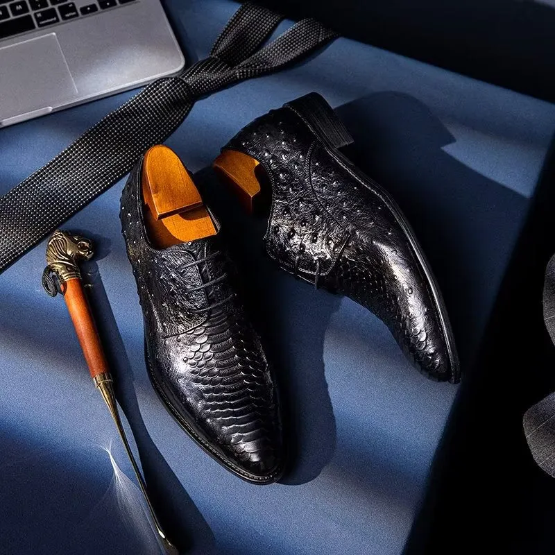 Serpatura Elegance Lace Brogues